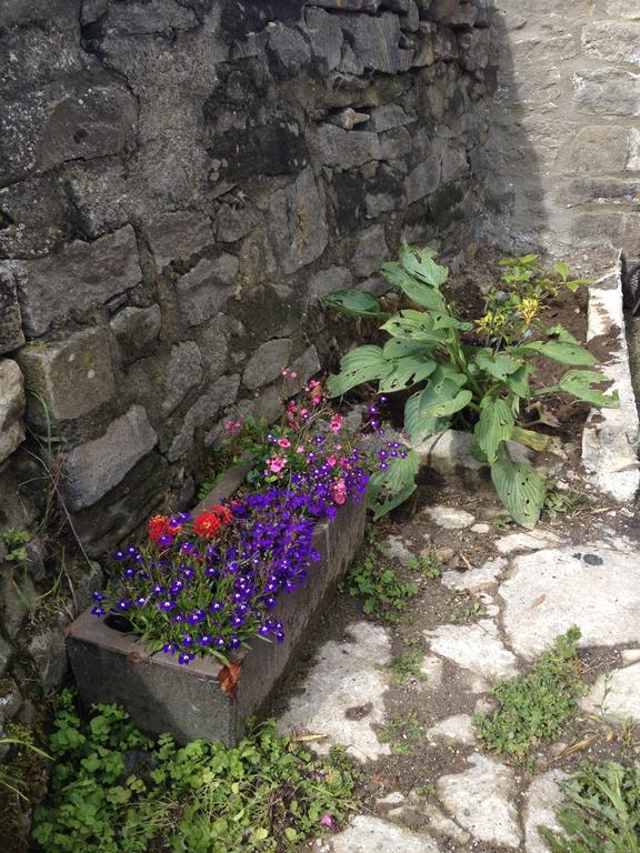Bed and Breakfast Curlew Barn Leyburn Exterior foto