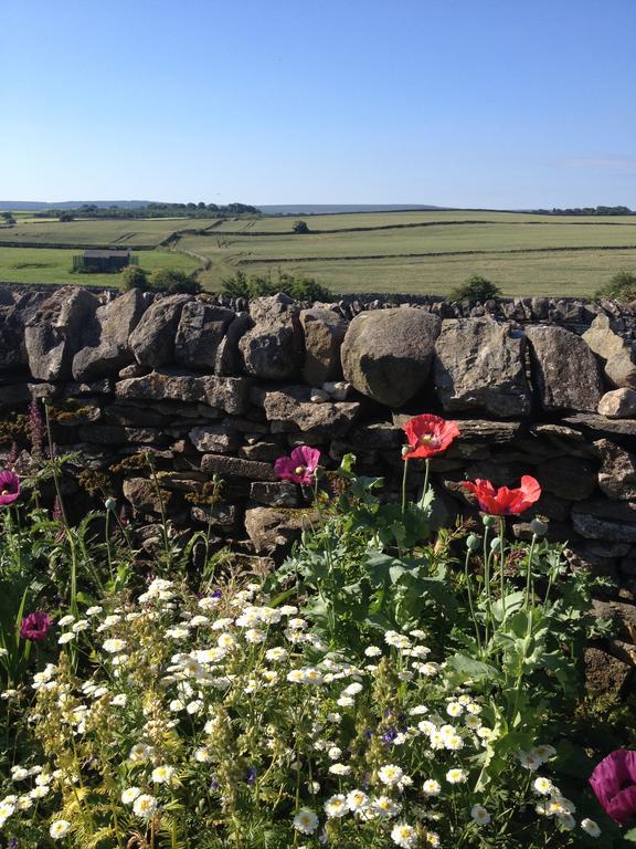 Bed and Breakfast Curlew Barn Leyburn Exterior foto